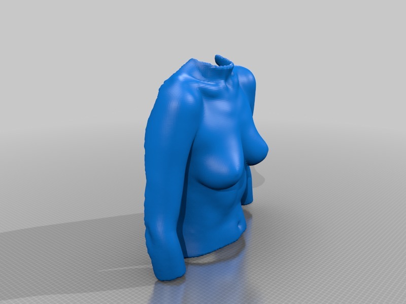 人体模型3D打印模型