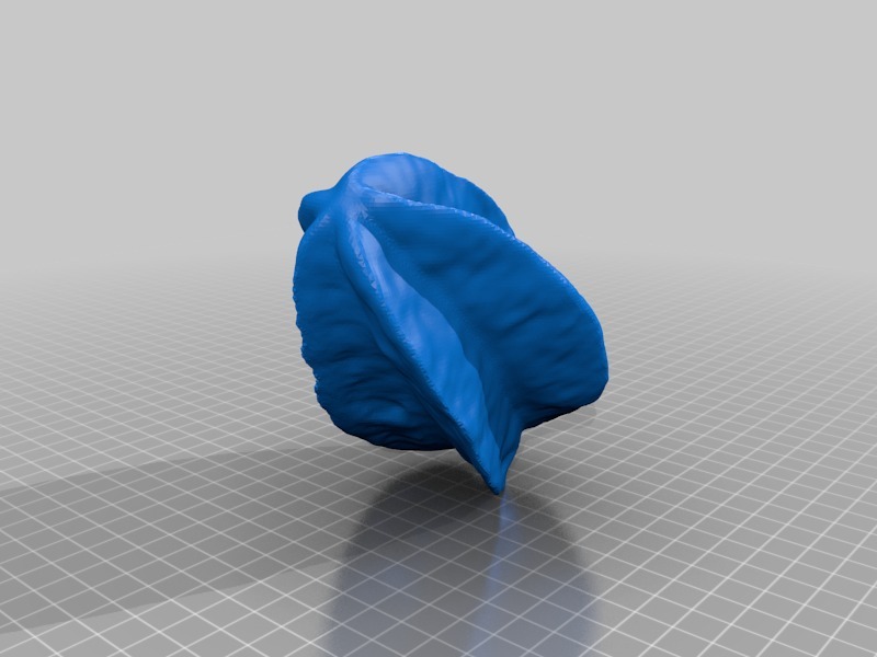 杨桃3D打印模型