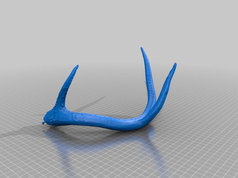我扫描的鹿茸部分3D打印模型