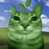 憨憨燐