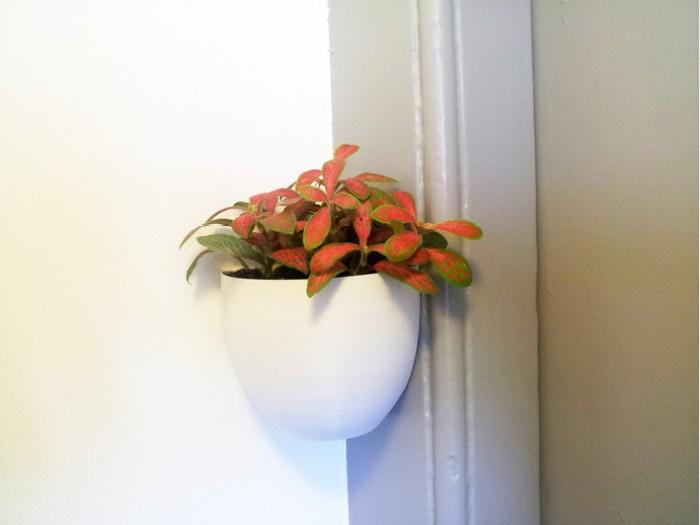 悬挂式小花盆-小小的花盆，家中的小小风景