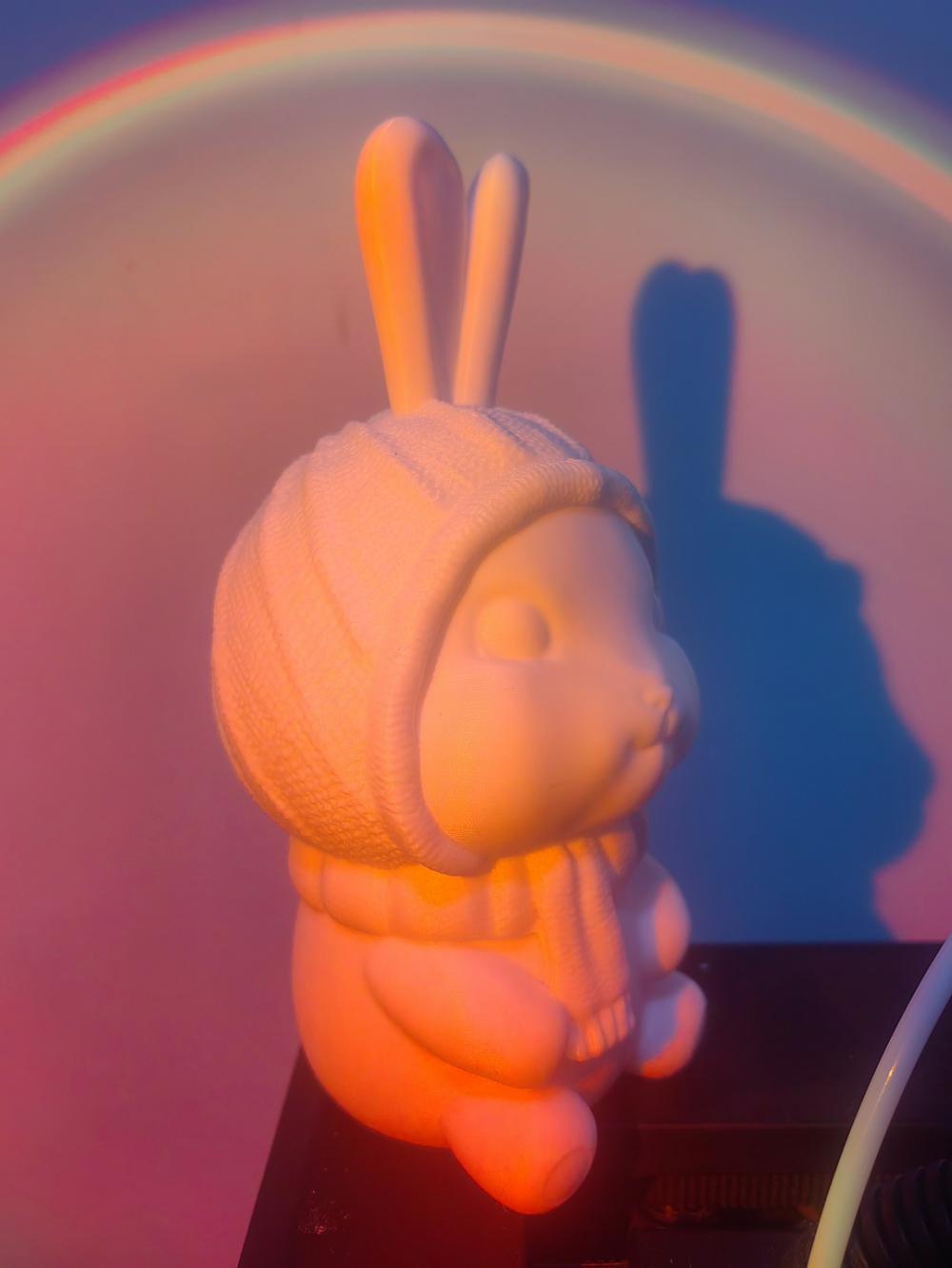 兔年 围巾兔3D打印模型