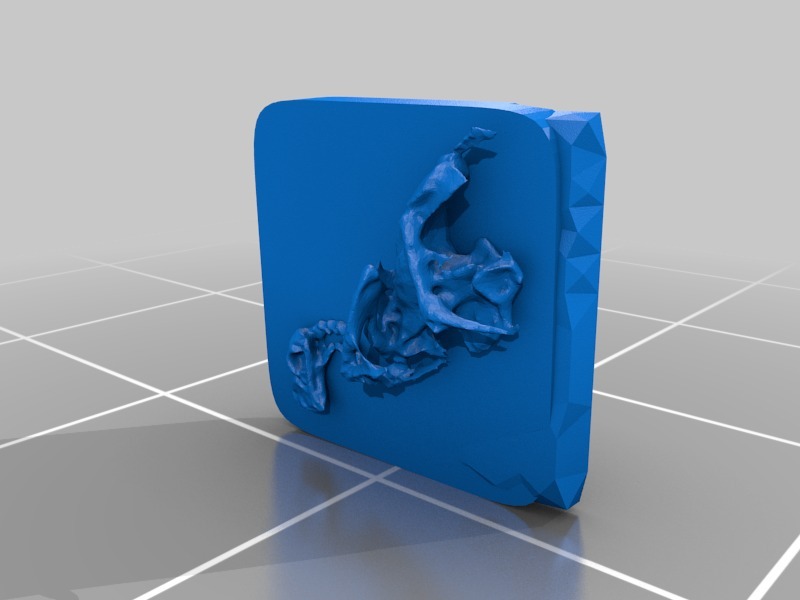 鸟类化石3D打印模型