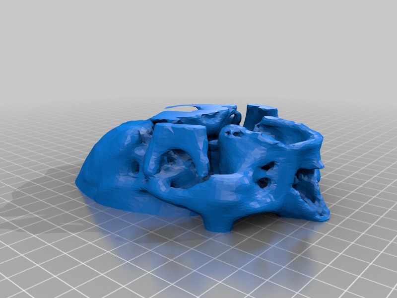 头骨医学模型3D打印模型