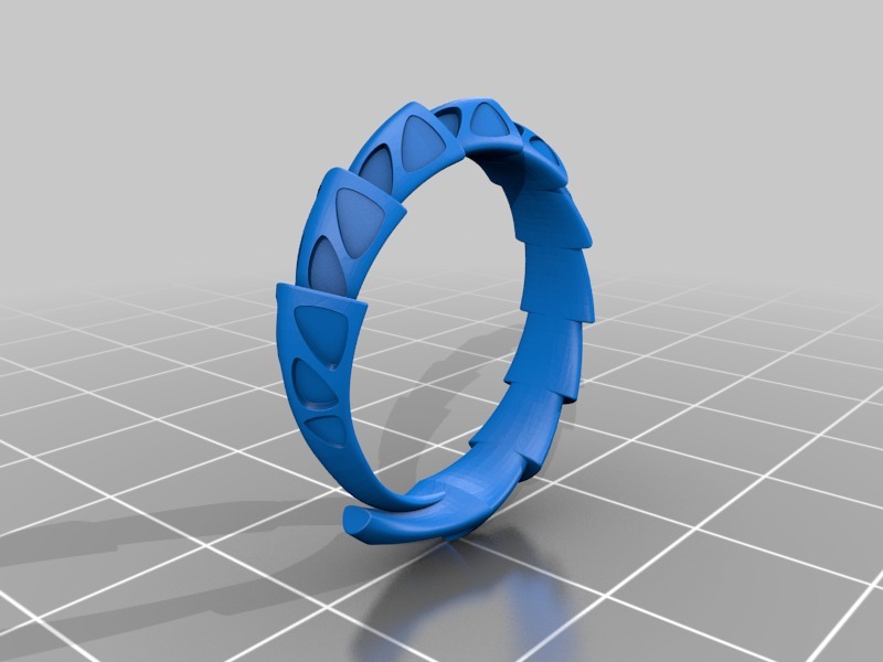 甲壳环戒指3D打印模型