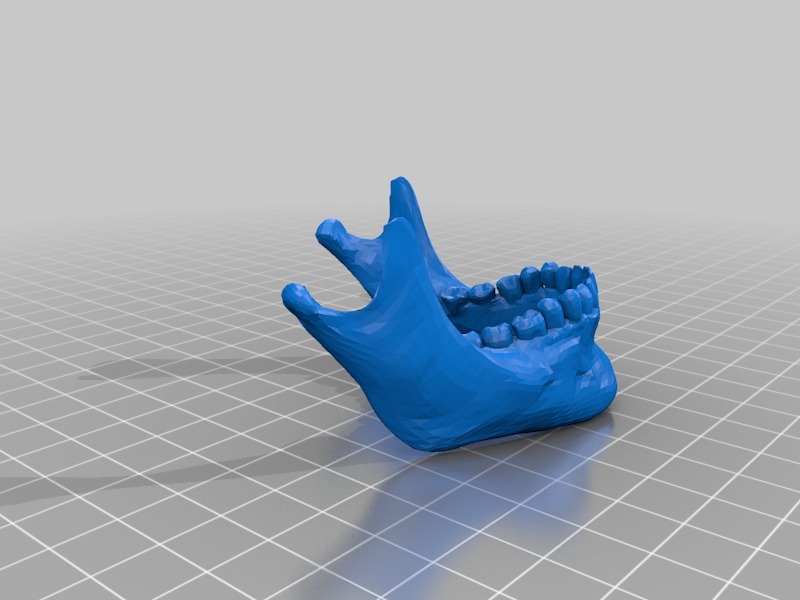 人类头骨与下颚骨和牙齿模型3D打印模型