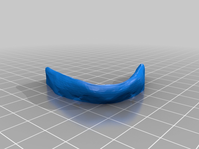 人类头骨与下颚骨和牙齿模型3D打印模型