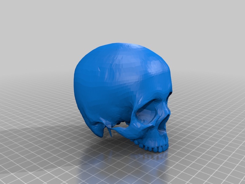 人类头骨与下颚骨和牙齿模型3D打印模型