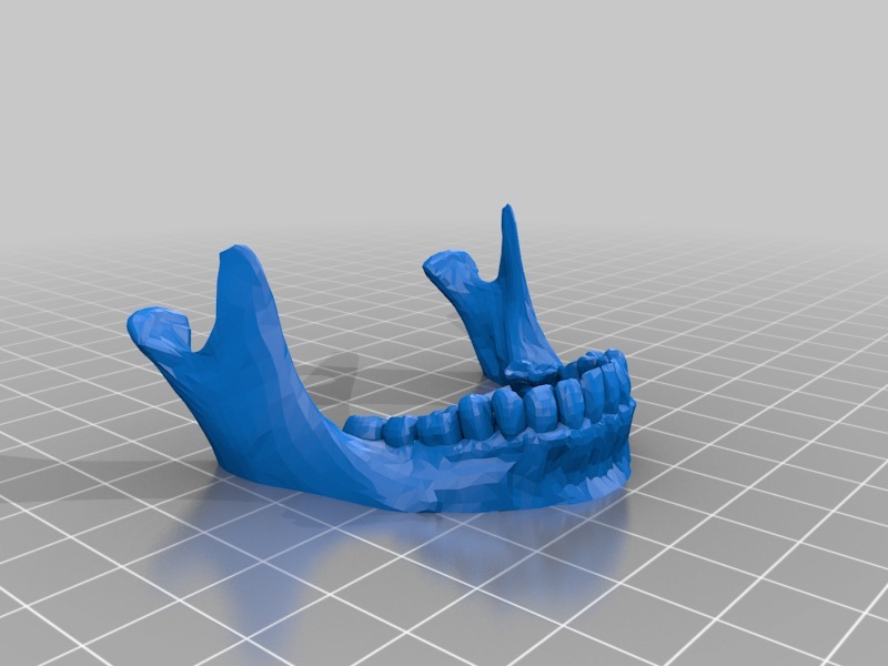 人类头骨与下颚骨和牙齿模型3D打印模型