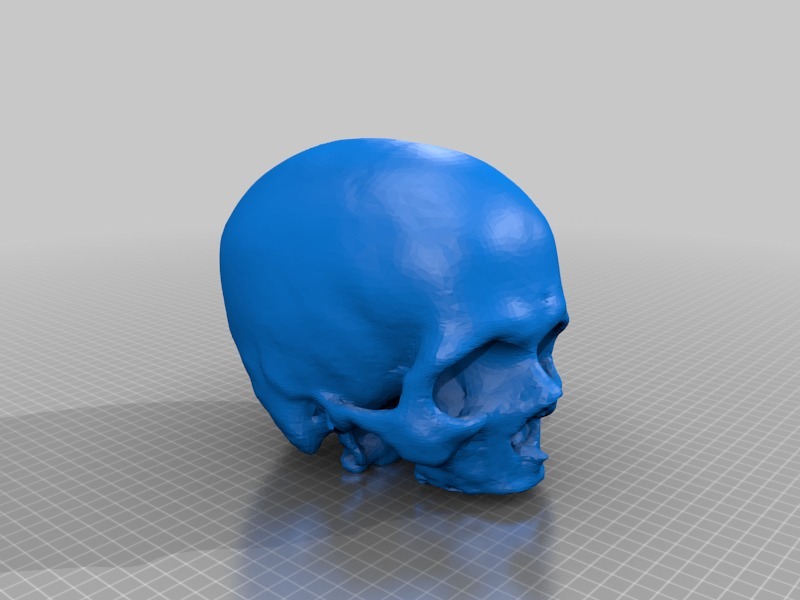 空心可拆卸头颅骨骷髅头3D打印模型