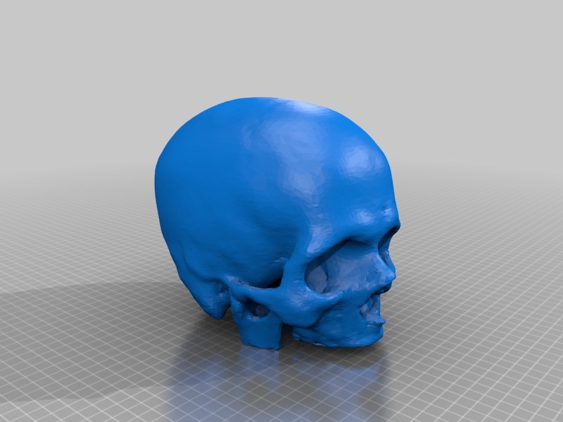 空心可拆卸头颅骨骷髅头3D打印模型