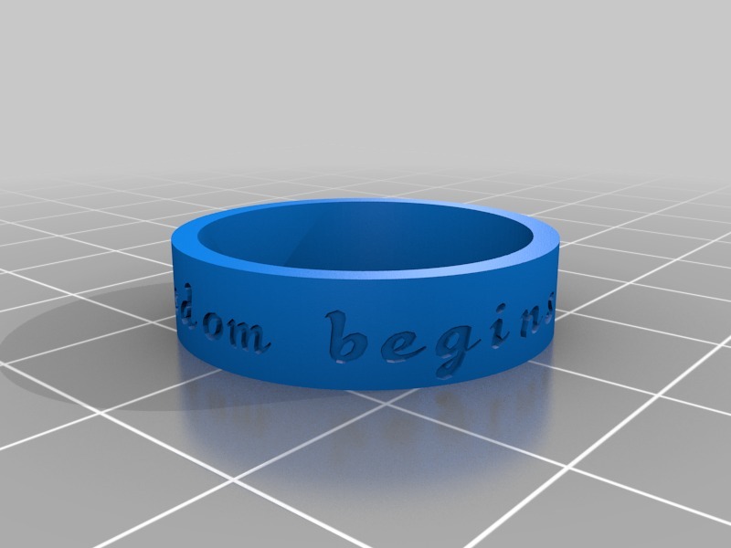 我的定制戒指3D打印模型