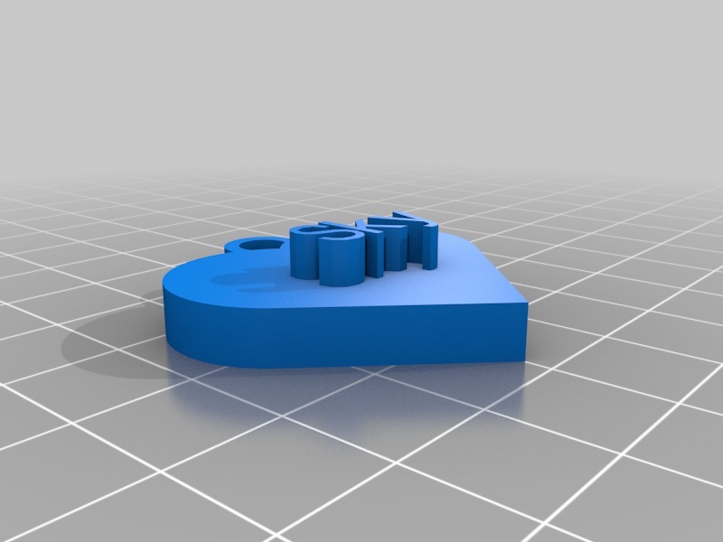 刻有sky字样的心脏3D打印模型