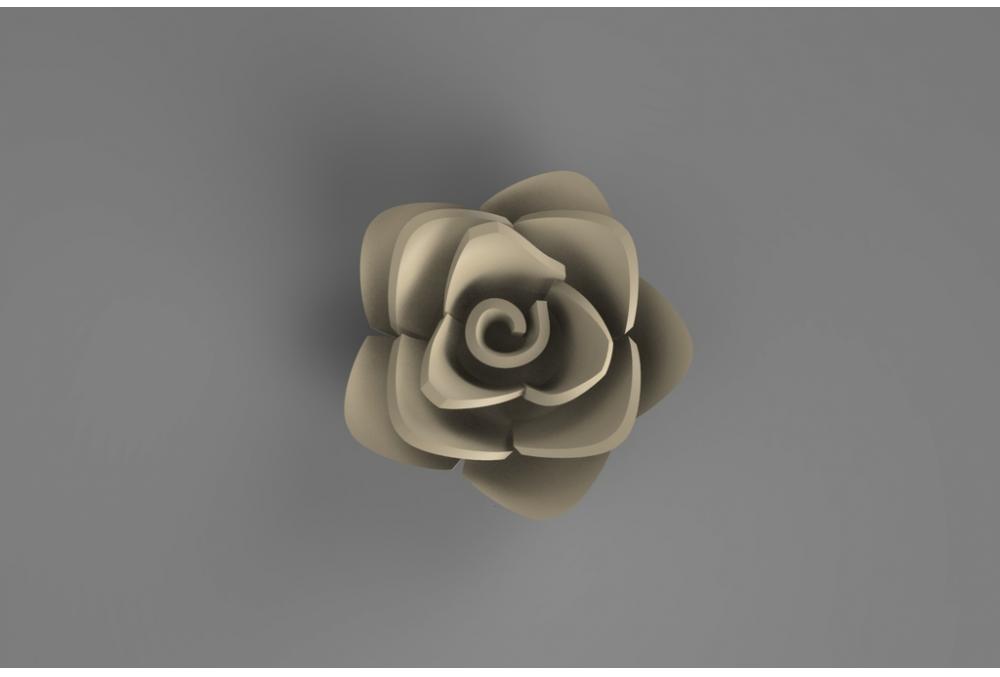 一朵花3D打印模型