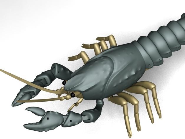 铰链式小龙虾3D打印模型