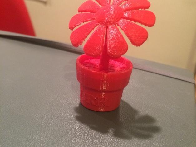 花盆里的花3D打印模型
