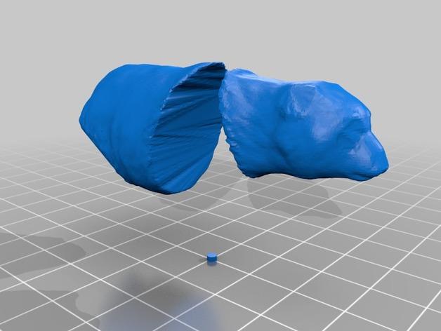 呆呆的小熊猫3D打印模型
