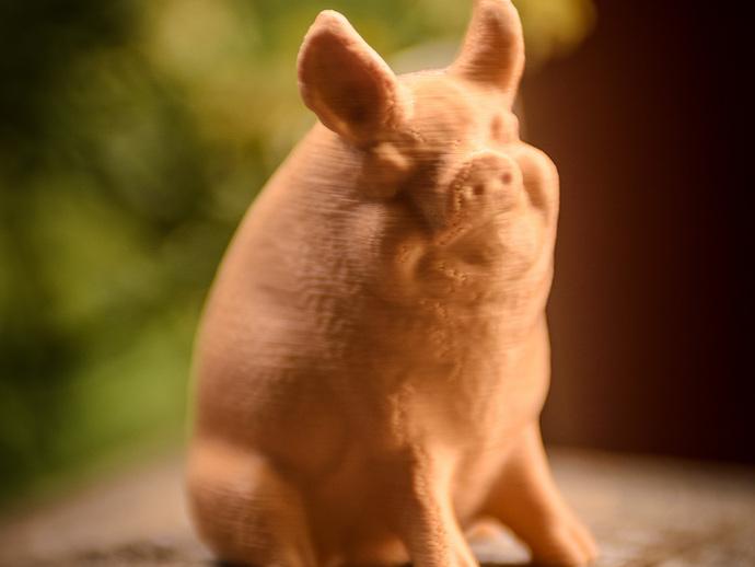 花园里的猪3D打印模型