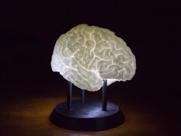 大脑LED灯