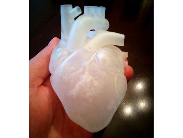 心脏解剖结构3D打印模型