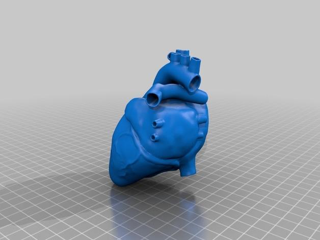 心脏解剖结构3D打印模型