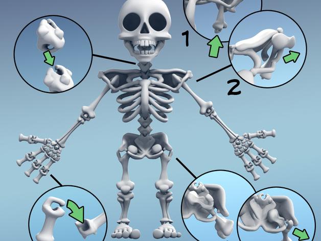 可活动的骷髅模型 骨骼模型3D打印模型