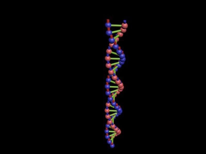 DNA分子链3D打印模型