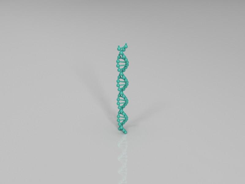 DNA分子链3D打印模型