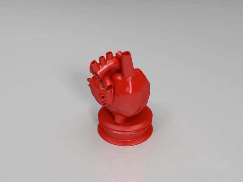 人类心脏加底座3D打印模型