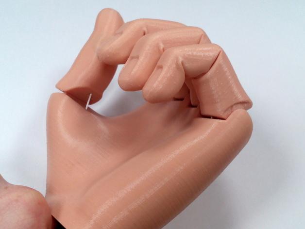 可活动的手掌模型3D打印模型