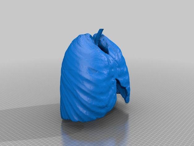 人类肺部模型3D打印模型