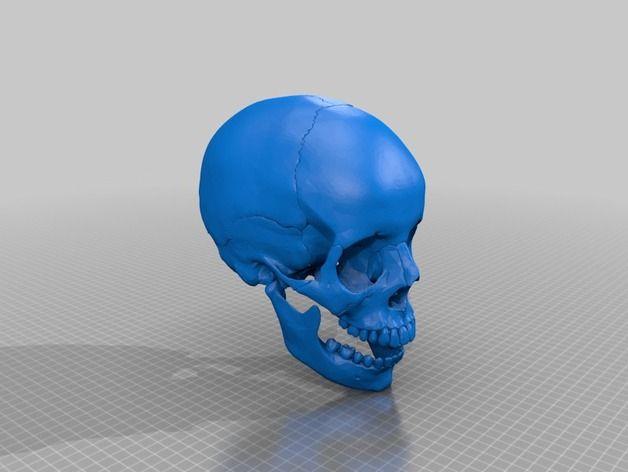 人类头骨模型3D打印模型