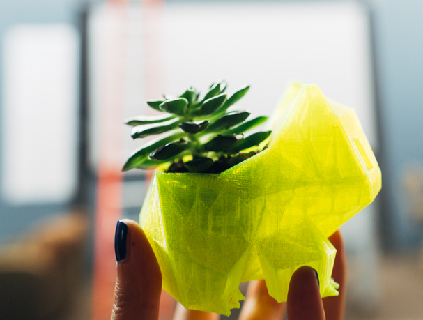 神奇宝贝妙蛙种子花盆3D打印模型