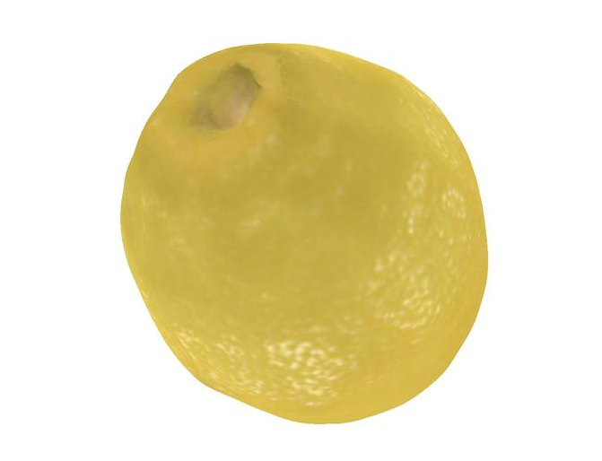 柠檬3D打印模型