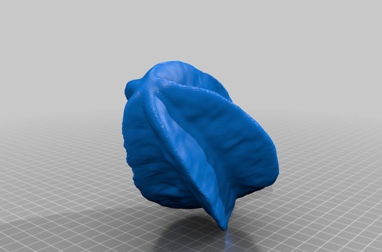 杨桃3D打印模型