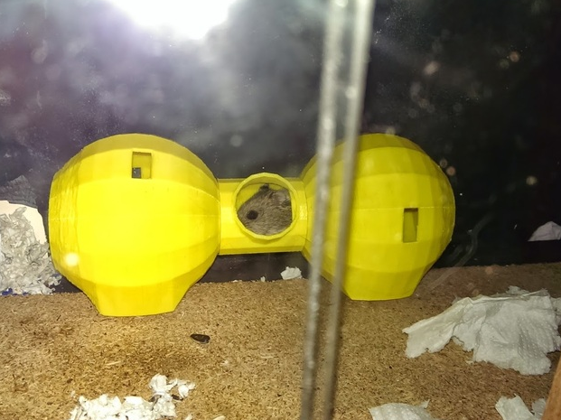 仓鼠冰屋3D打印模型