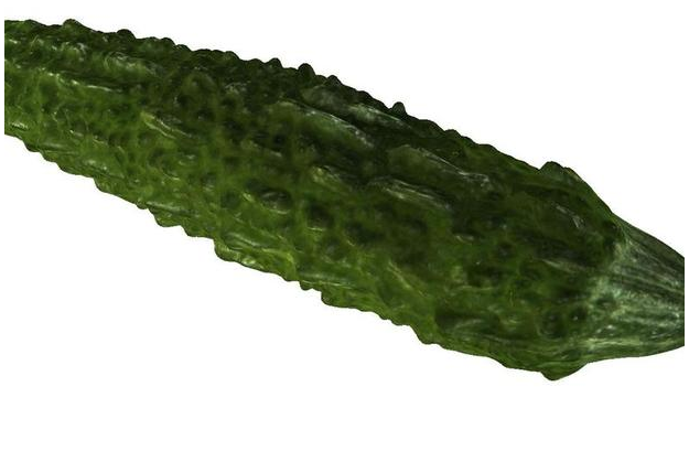 蔬菜苦瓜3D打印模型