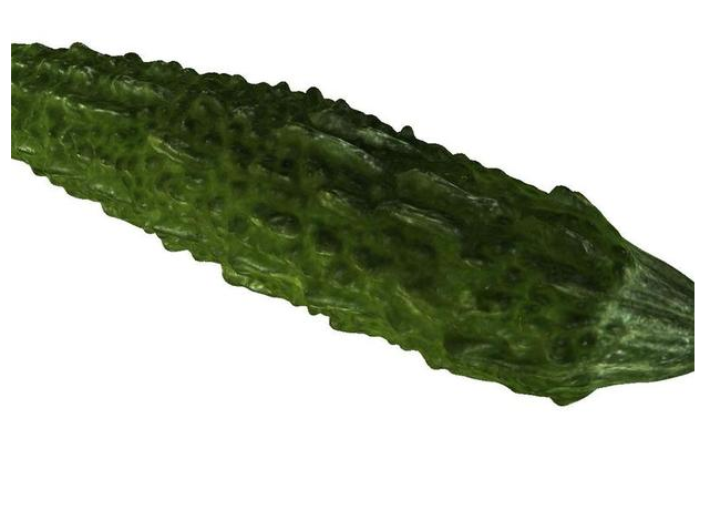 蔬菜苦瓜3D打印模型