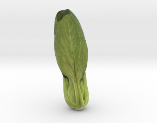 白菜3D打印模型