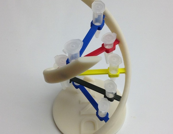 DNA试管架3D打印模型