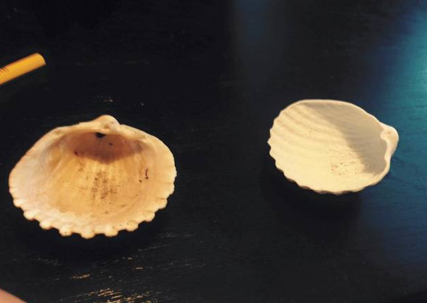 贝壳图集3D打印模型