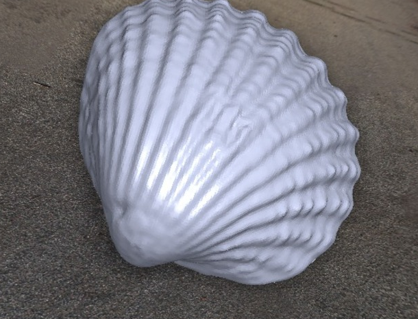 贝壳图集3D打印模型
