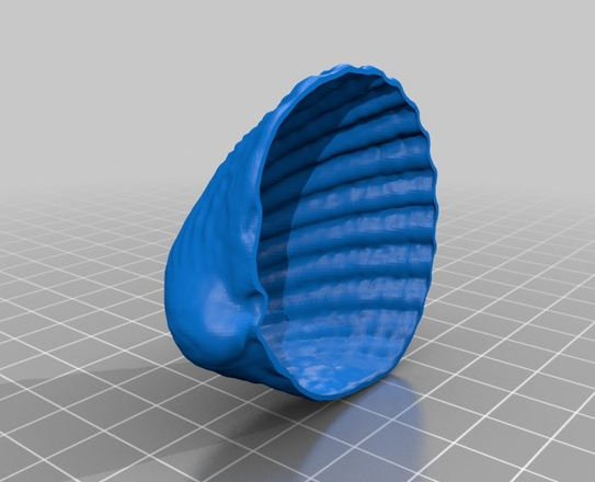 贝壳图集3D打印模型