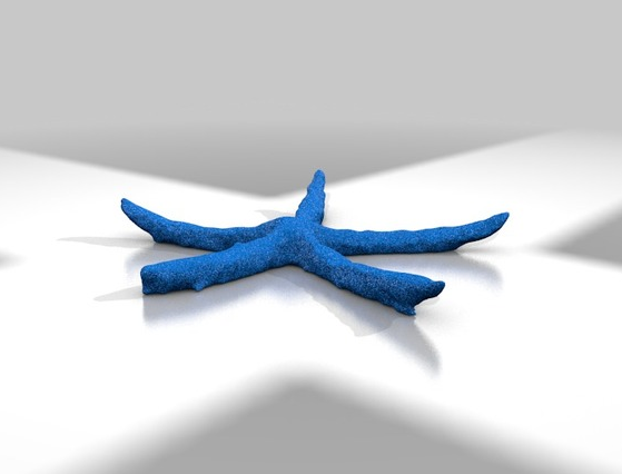 海星3D打印模型