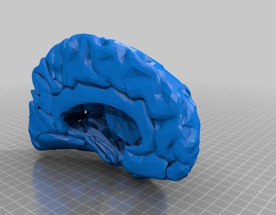 右脑3D打印模型