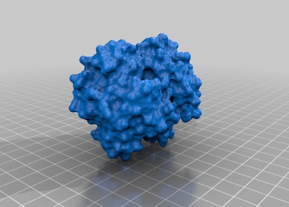 缺血细胞图3D打印模型