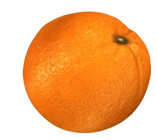 橙子3D打印模型