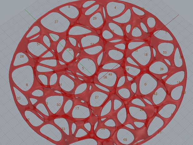 沃罗诺依网状盘子3D打印模型