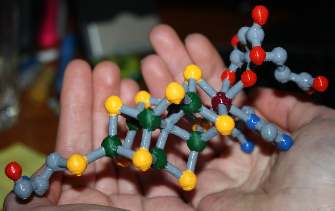 生物因子结构3D打印模型