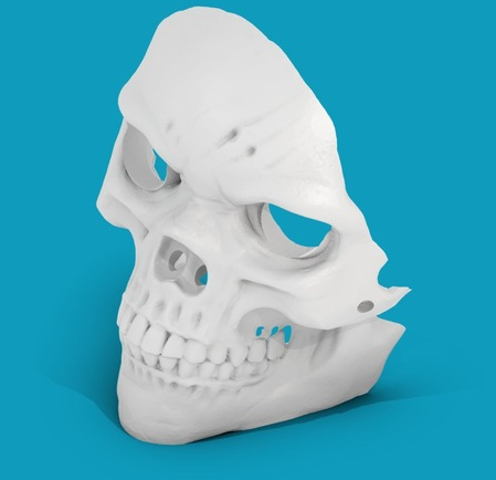 骷髅镂空面具3D打印模型
